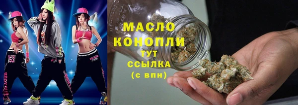 амф Вяземский