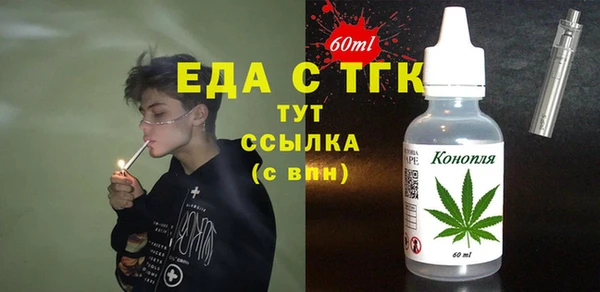 индика Магас