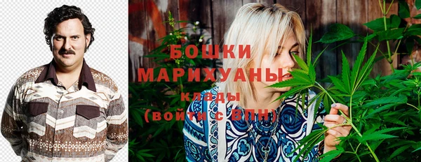 прущий лед Вязьма