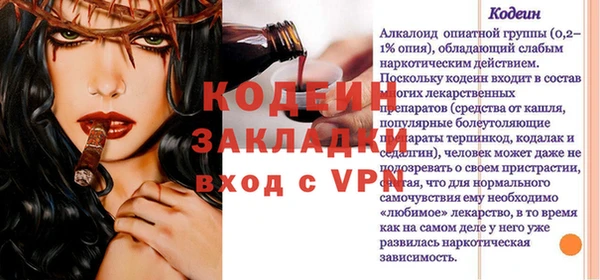 амф Вяземский