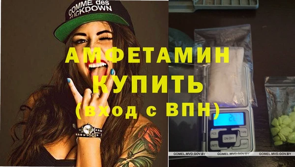 амф Вяземский