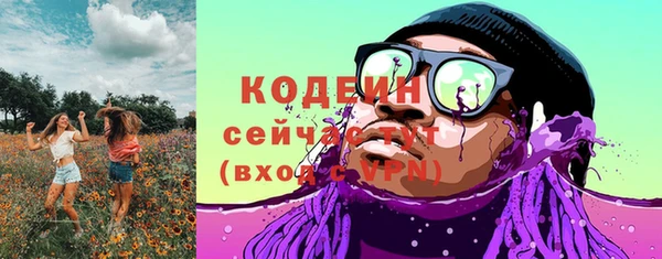 амф Вяземский
