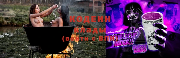 амф Вяземский