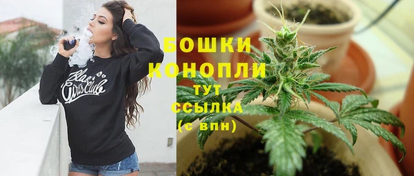 прущий лед Вязьма