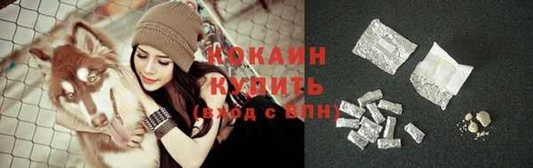 амф Вяземский