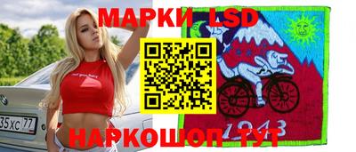 индика Гусев