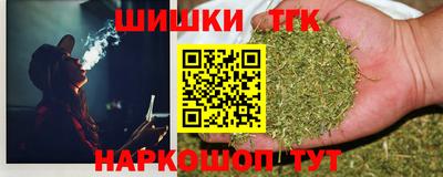 индика Гусев