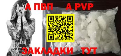 индика Гусев