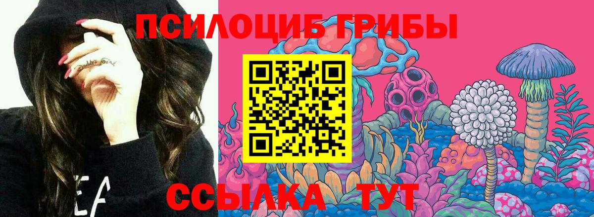 Псилоцибиновые грибы Psilocybine cubensis  Вход с VPN  Мценск 